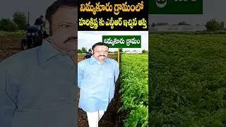 Harikrishna Properties in Nimmakuru Village | Sr NTR | Cine Megham