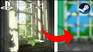 I found the Last of Us PC version