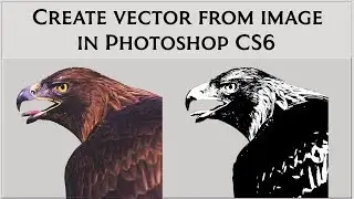 How To Convert Image to Vector in Photoshop