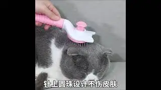 Cat Brush Dog Comb for Shedding and Grooming Self Cleaning Slicker Brush for Long or Short Haired