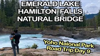 Things To Do In YOHO National Park | Emerald Lake | Hamilton Falls | Natural Bridge