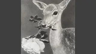 meaningful love (slowed instrumental)