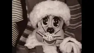 Santa In Animal Land