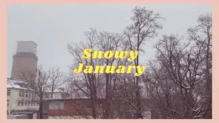 Snowy January, putting my Christmas tree down. Playing snow with friends.