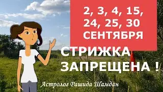Благоприятные дни стрижки в сентябре Лунный календарь стрижек