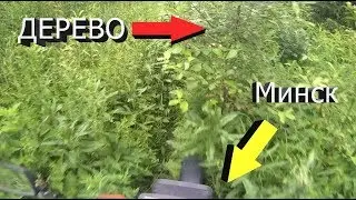 Врезался в дерево на мотоцикле Минск | Кросс покатушки по лесу