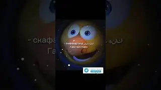 #мем