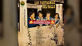 "PRINCESITA AZUL" / "CONTESTAME CORAZON" Los Fantasmas Del Valle (1974 LP)
