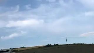 Kara bozalı oynak saya güvercin.
