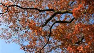 Herfst 2011