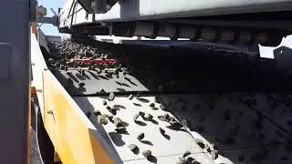 Striker SQ2072 sizing screen clean screening