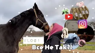 Vlog! Отправила лошадь в Питер!