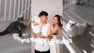 Meowmily Diaries | Elfin Fountain, La Union Staycation, Meowmy's Birthday