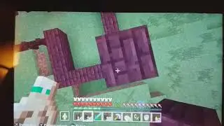 #2 Minecraft Nintendo switch edicton  le case 01/02