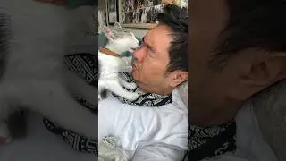 Day 28: Rainbow, Cherry, Mango (Foster Kittens)