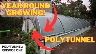 We bought a Polytunnel (Year round growing of produce!) [PART ONE]
