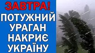 ПОГОДА НА 4 ЧЕРВНЯ - ПОГОДА НА ЗАВТРА