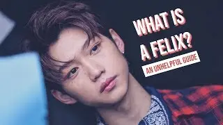 WHAT IS A FELIX? An (un)helpful guide to lee felix [STRAY KIDS] BananaPop
