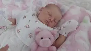 Scammer Story! Updates!!