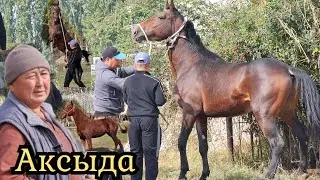 БОЛОТУРГАН ЧАГЫЛГАН 🔥ЖАНАР АКЕДЕН ӨРТ ӨСПҮРҮМДӨР ⭐️1 ноября 2024 г.