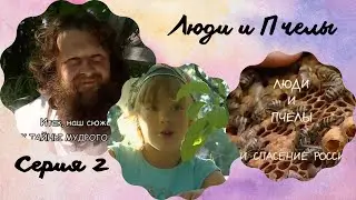 Humans and bees .Continued.