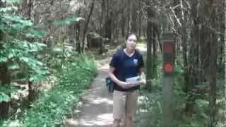 Hiking Tips