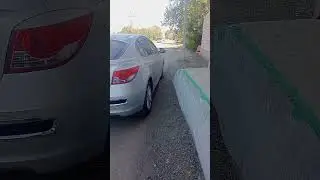 Көтенімді қысып ұстады