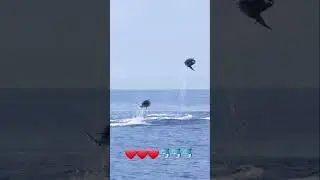Mesmerizing Dolphin Jump in Crystal Clear Waters 🌊🐬 #Shorts"#DolphinJump #MarineLife #OceanVibes
