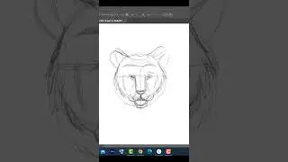 Tiger Making  #art #drawing #sanjayart  #sketch