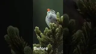 Watercolour Effect in Photoshop