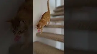 On a mission