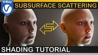V-Ray | How to make REALISTIC HUMAN SKIN | ALSurface, FastSSS2, Subsurface Scattering & Translucency