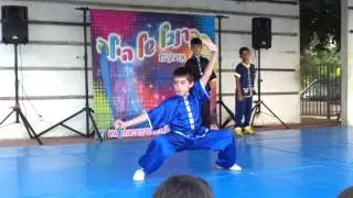 SHOW 2013 TAO LU
