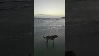 Storm Debi I think - Windy Beach #shorts #storm