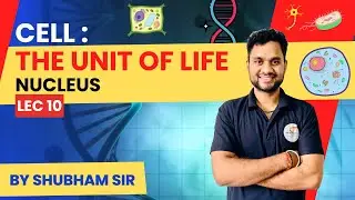 "Exploring the Nucleus of a Cell: The Control Center of Life"