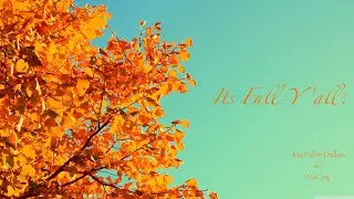 Fall in Dallas w/ McCoy! |SMU LOOK Fall Series