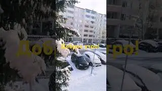 2 ноября 2024 г.