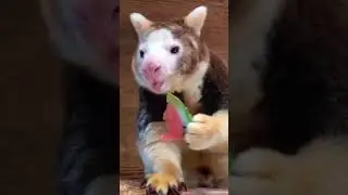 just eating