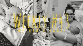 Weekly #43 - WE HAD A BABY!