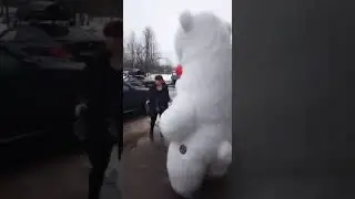 Большой Белый Мишка❤❤❤встретил любимую жену из роддома.    ☎ 89914937277 Санкт-Петербург и Лен.Обл.