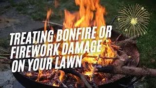 How To Treat Bonfire and Firework Damage On Your Lawn