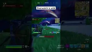Overwatch is Wild 