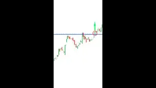 Support And Resistance Secrets To Profit In Bull & Bear Markets