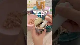 living alone diaries cat mom edition🤍 #livingaloneph #livingalonevlog #livingalonediaries #diml