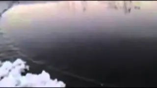 Подводное нечто Дело №175