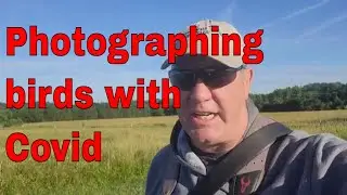 Capturing Stunning Bird Photos While Fighting Covid
