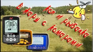 Коп и рыбалка в жару с комарами. Minelab Equinox 800, Garrett ACE 250, Фортуна М3.