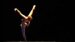 La morte del cigno (2009)