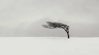 261.63Hz Viento Blanco ( Matias Hermosilla) Meditación Astral