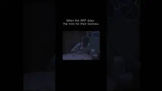 INTPs are lazy yet intelligent 